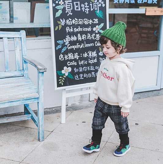 Boys Hooded Autumn and winter sweater