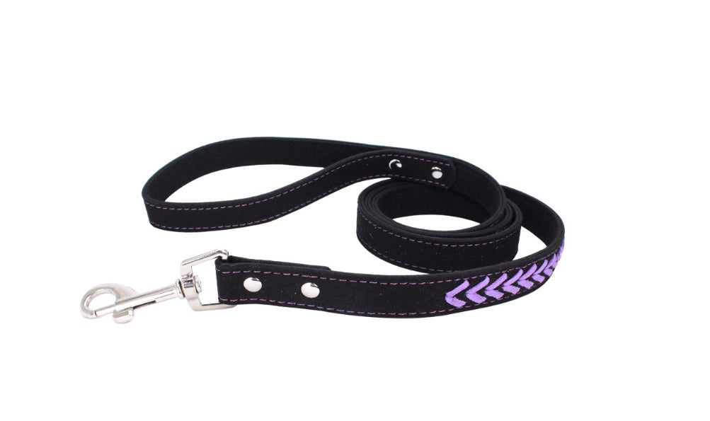 Stainless Steel Iron Dog Collar with Personalized Laser Engraving – Style Meets Security!