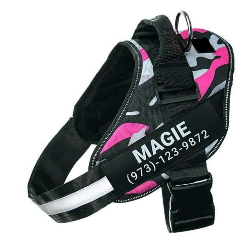 Custom Reflective Breathable No-Pull Dog Harness – Personalized Comfort, Maximum Safety!