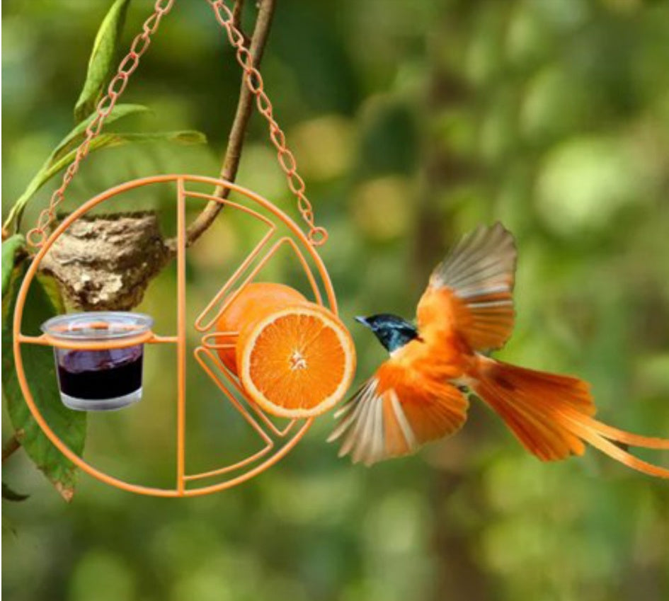Hanging Metal Bird Feeder – Outdoor Hummingbird Swing & Feeding Bracket