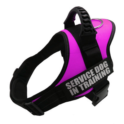 Custom Reflective Breathable No-Pull Dog Harness – Personalized Comfort, Maximum Safety!