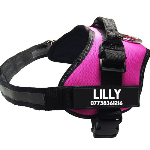 Firm Chest Dog Harness -  Dog Leash  Pet Supplies