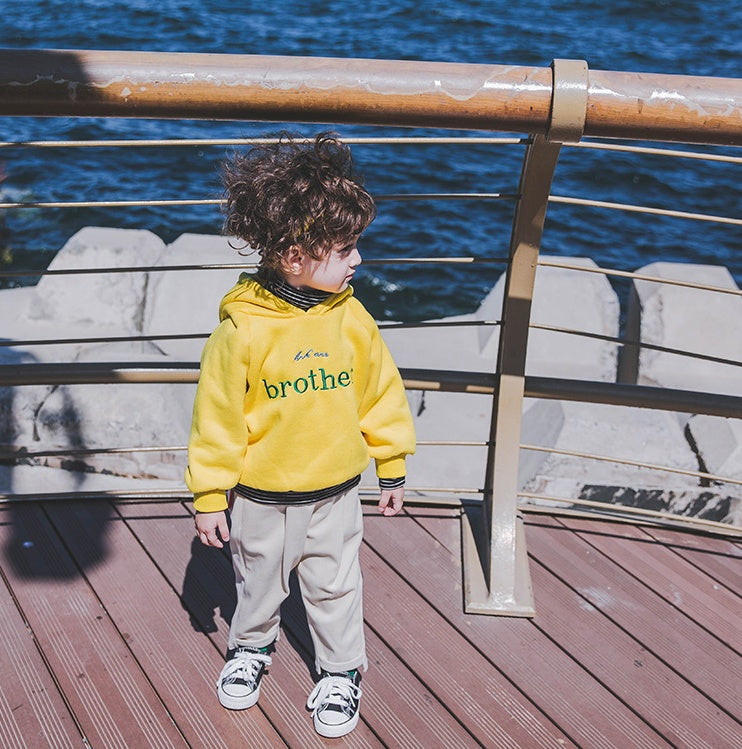 Boys Hooded Autumn and winter sweater