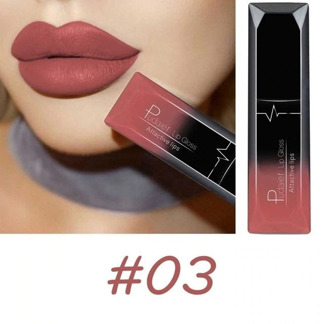 Matte Lip Gloss Lipstick Makeup