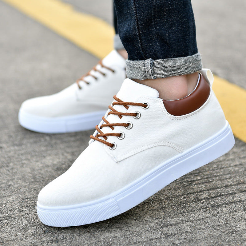Men's Sneaker Shoes
