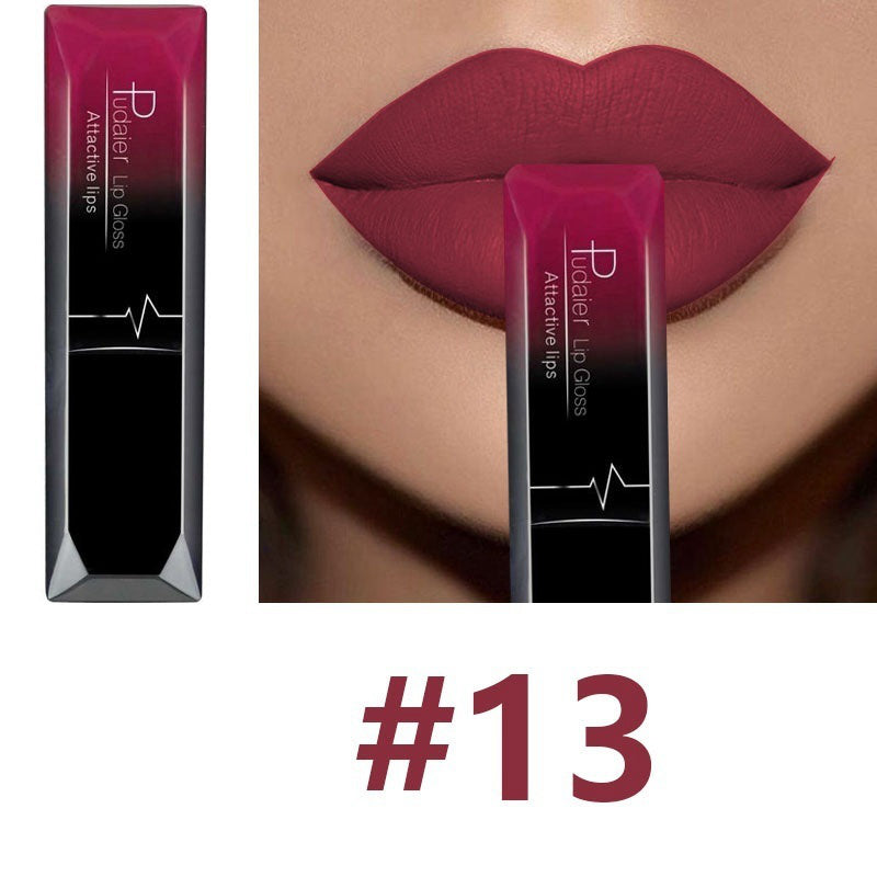 Matte Lip Gloss Lipstick Makeup