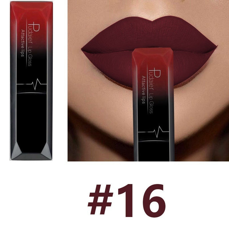 Matte Lip Gloss Lipstick Makeup