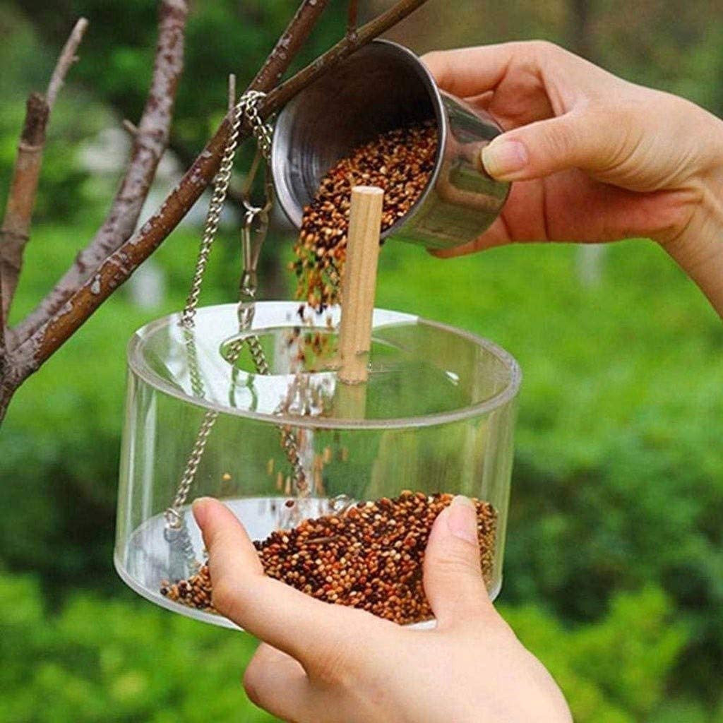 Large Capacity Acrylic Bird Food Box - Circular Transparent Seed Dispenser