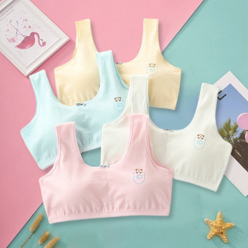 Pure Cotton Underwear Bra - Primary Student Vest, Female Junior High, Girl High School  Underwear Pure Cotton Bra