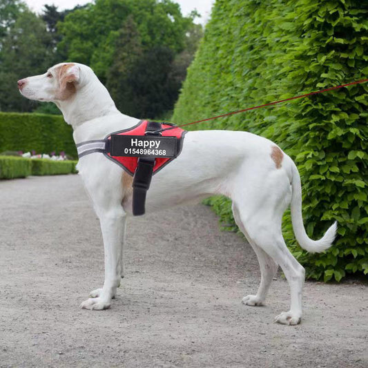 Custom Reflective Breathable No-Pull Dog Harness – Personalized Comfort, Maximum Safety!