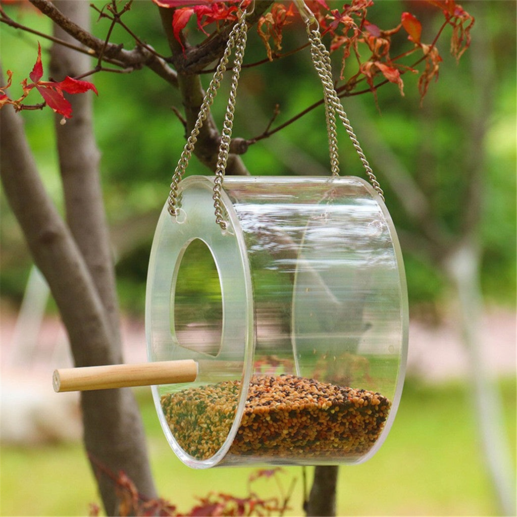 Large Capacity Acrylic Bird Food Box - Circular Transparent Seed Dispenser