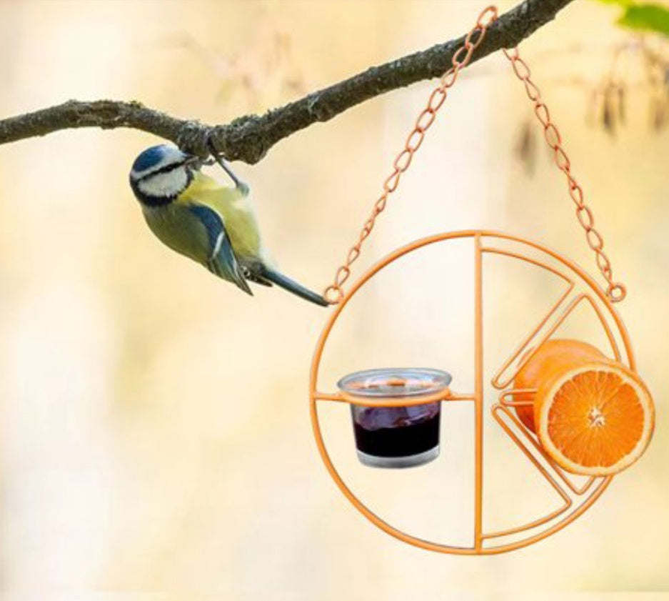 Hanging Metal Bird Feeder – Outdoor Hummingbird Swing & Feeding Bracket