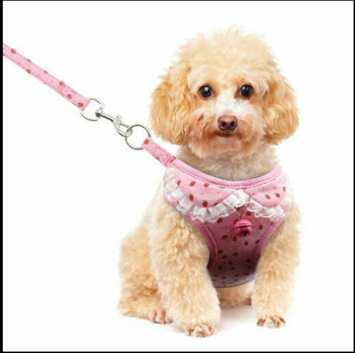 Soft & Stylish Dog Leash – Chest Back Traction Rope with Bow Tie & Bell Accents