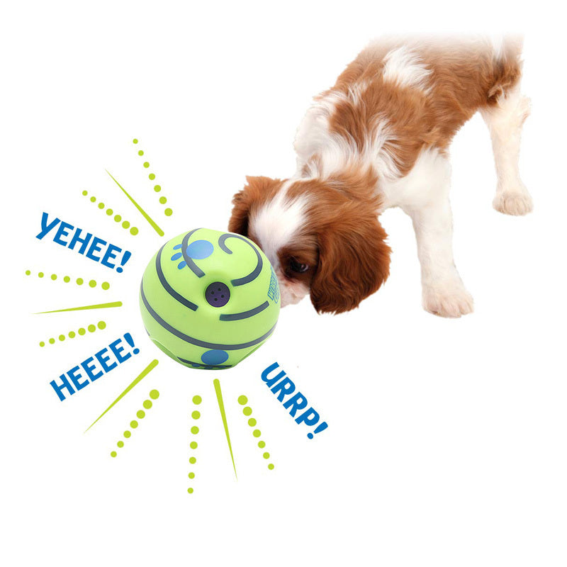 Fun Non Toxic Pet Ball