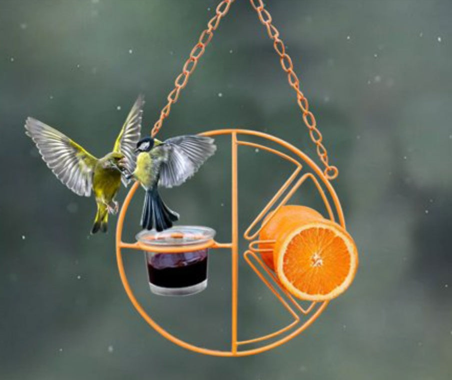 Hanging Metal Bird Feeder – Outdoor Hummingbird Swing & Feeding Bracket