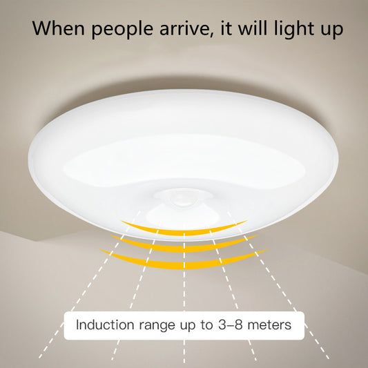 Human Induction Ceiling Lamp - Infrared Garage Lamp