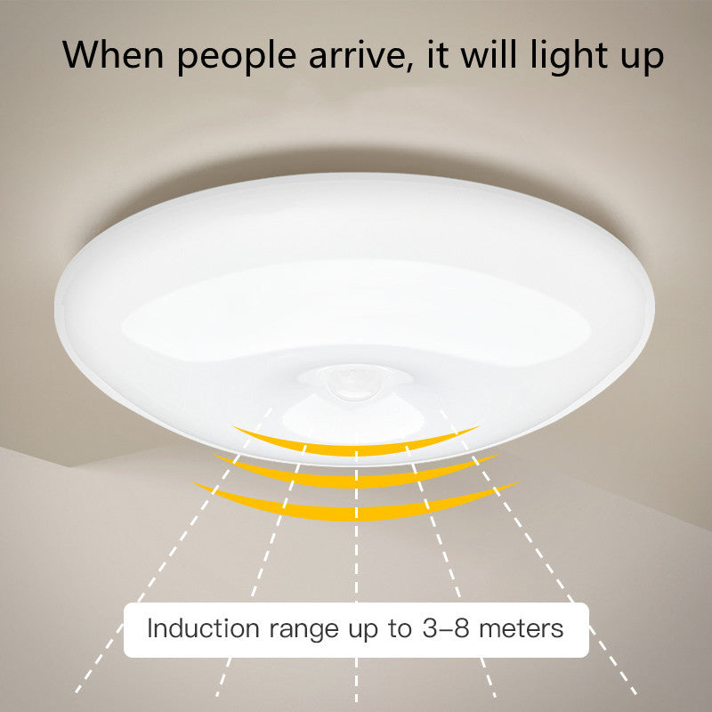Human Induction Ceiling Lamp - Infrared Garage Lamp