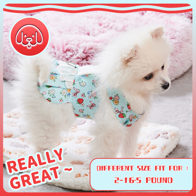 Dog Harness Dress with Leash Set – Cute Puppy Angel Wing Outfit for Small Pets