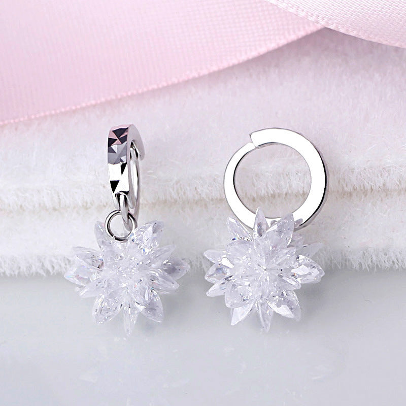 Pure Beauty Ice 925 Silver Earrings - Hypoallergenic non-fading earrings - JumoShop