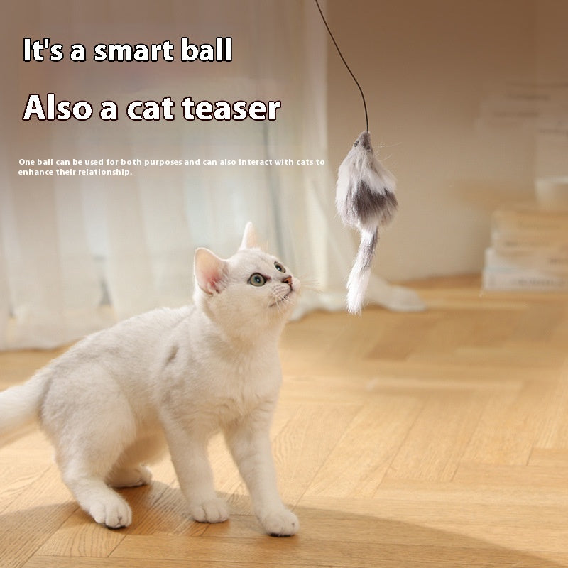 Cat Mouse Teaser Ball - Fun Moving Toy For Pets Cat Dog, Electric Teaser Ball, Automatic Intelligent Rolling Ball Pet Products