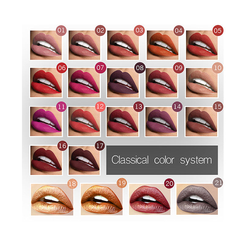 Matte Lip Gloss Lipstick Makeup