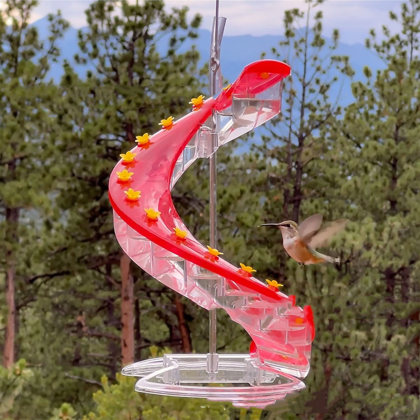Climbing Ladder Spiral Hummingbird Feeder – Unilateral & Bilateral Designs
