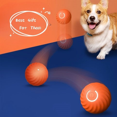 Pet Dog Rubber Ball Toys For Dogs - Resistance To Bite Dog Chew Toys Puppy Pets Dogs Training Products