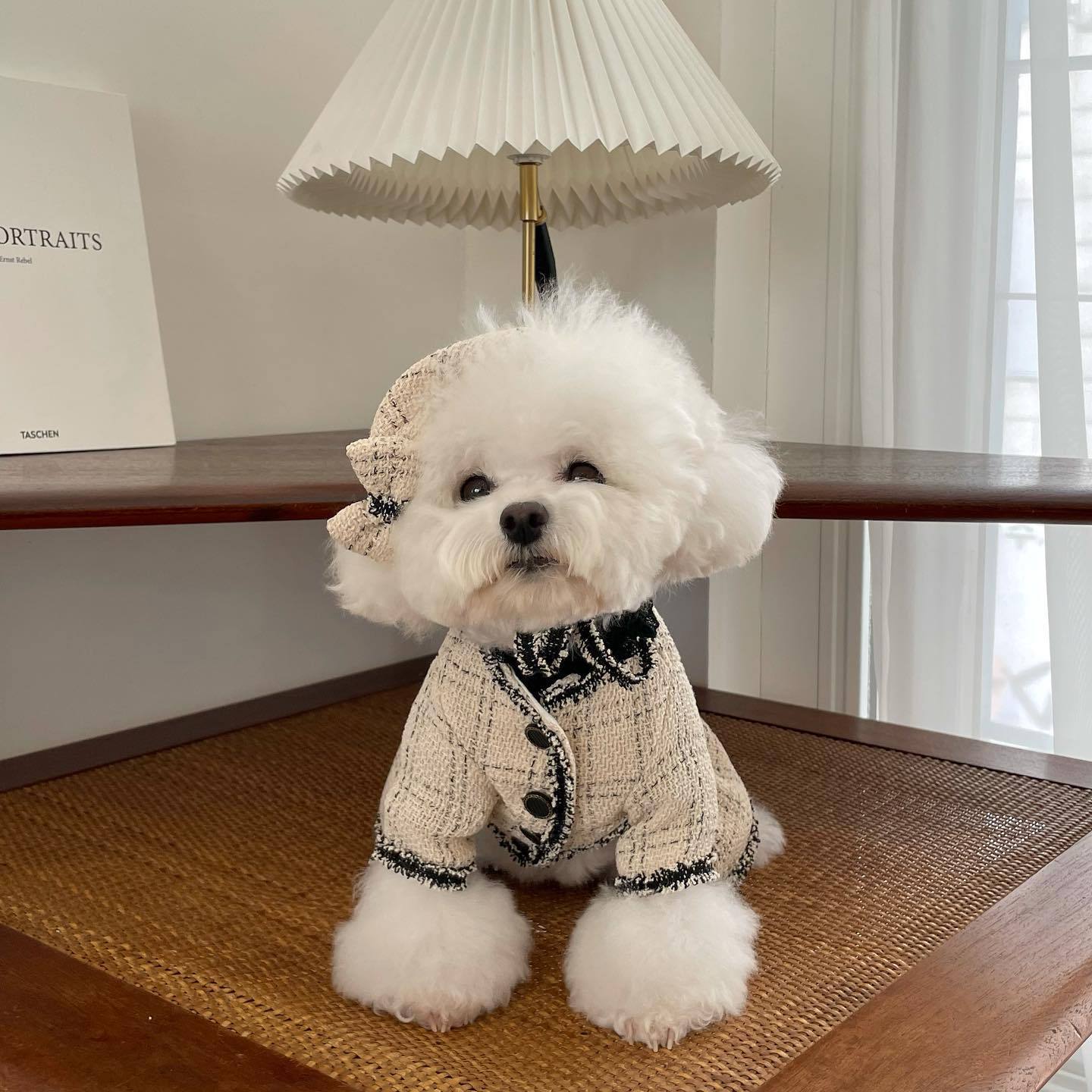 Pet French Vanilla Dress – Elegant Beige Cotton Skirt for Pets