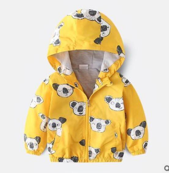 Boy Casual Hooded Jacket