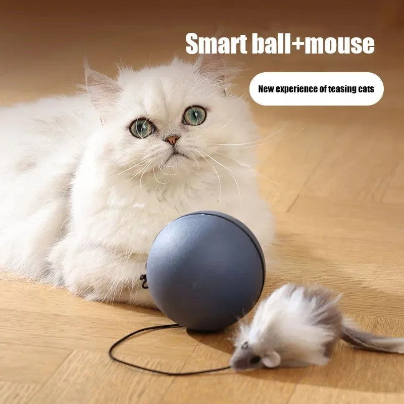 Cat Mouse Teaser Ball - Fun Moving Toy For Pets Cat Dog, Electric Teaser Ball, Automatic Intelligent Rolling Ball Pet Products