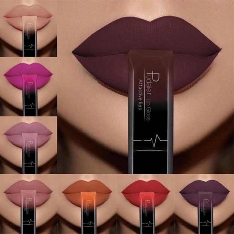 Matte Lip Gloss Lipstick Makeup
