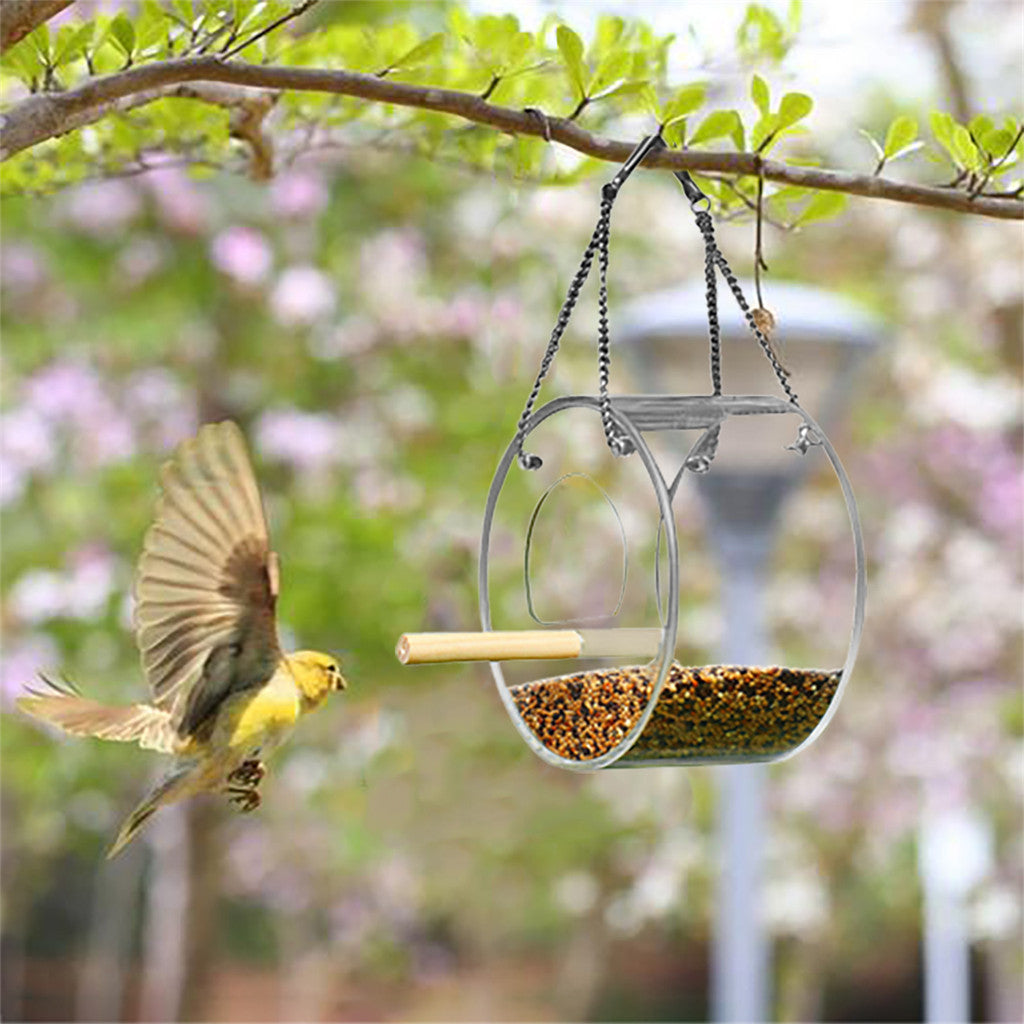 Large Capacity Acrylic Bird Food Box - Circular Transparent Seed Dispenser