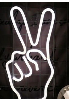 Room Decoration Night Light - LED Neon Lights, Acrylic Back Panel,