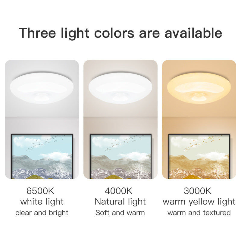 Human Induction Ceiling Lamp - Infrared Garage Lamp