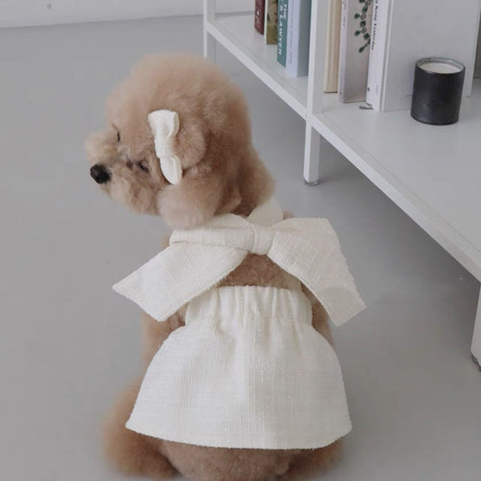 Sling Skirt Dog Dress – Elegant Style for Chic Pups