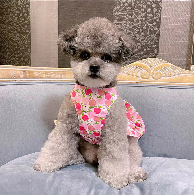 Dog Universal Cotton Blue and White Skirt with Holding Hand Rope – Stylish & Comfortable Pet Dress