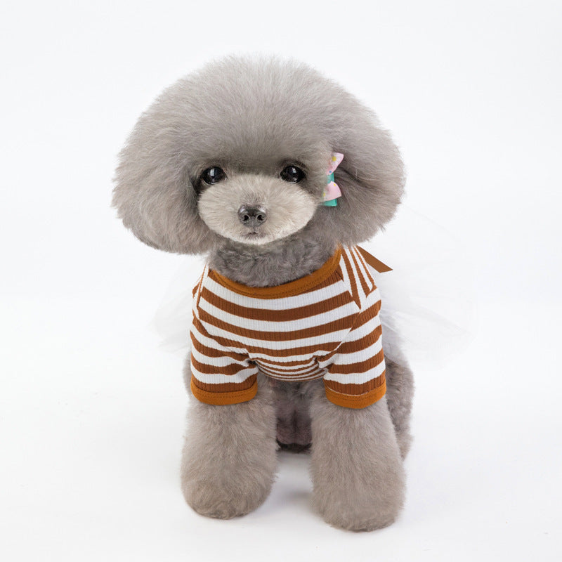 Bears Teddy Small Dog Pet Dress – Adorable & Cozy Fashion for Your Little Princess