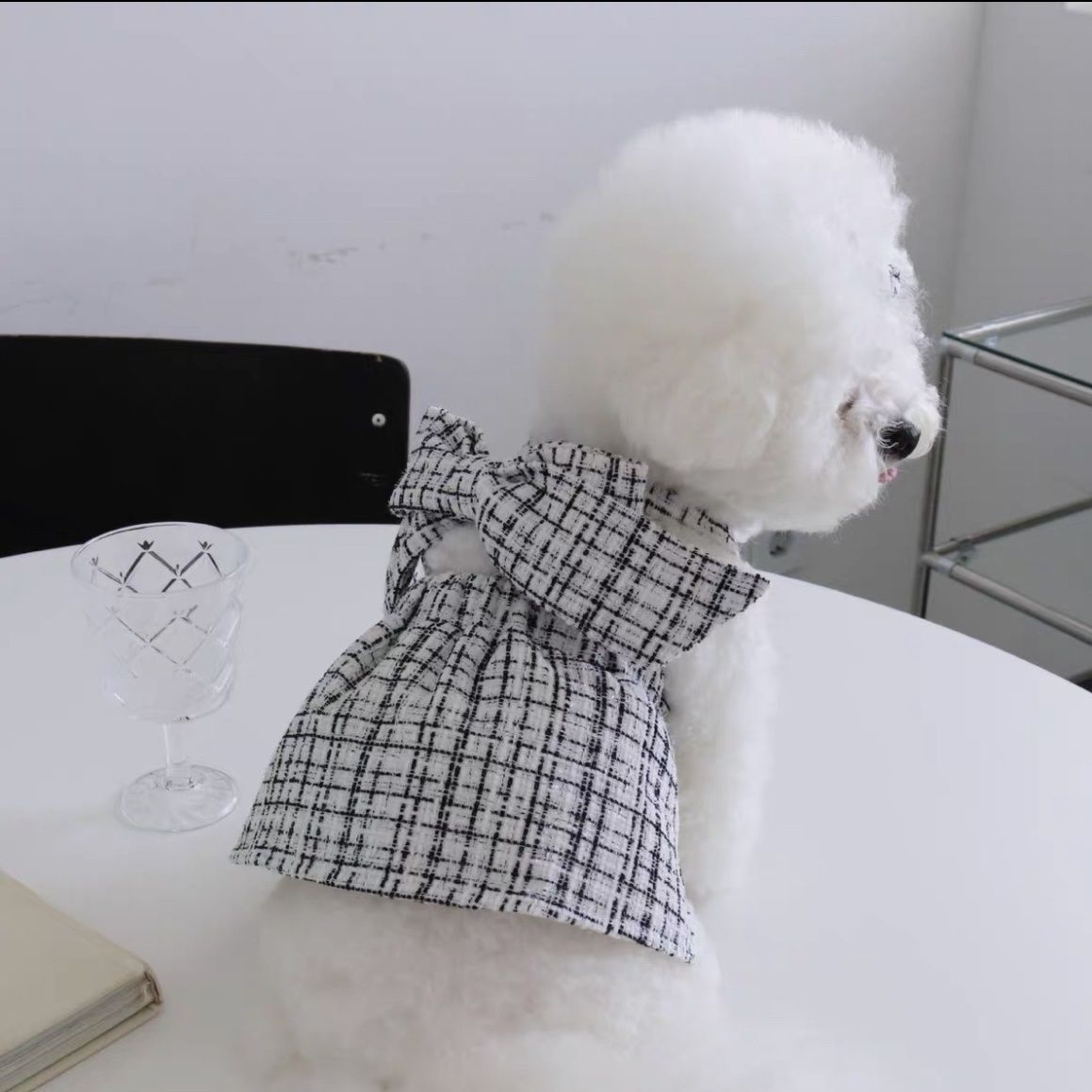 Sling Skirt Dog Dress – Elegant Style for Chic Pups