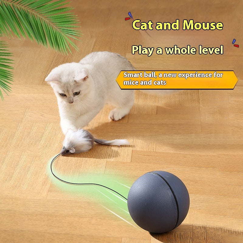 Cat Mouse Teaser Ball - Fun Moving Toy For Pets Cat Dog, Electric Teaser Ball, Automatic Intelligent Rolling Ball Pet Products