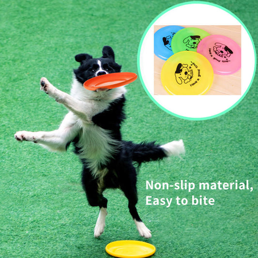 Dog Outdoor Game Interactive Toys
