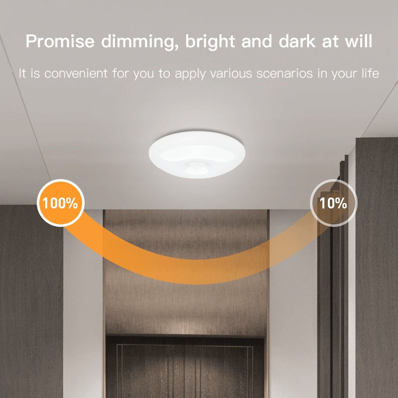 Human Induction Ceiling Lamp - Infrared Garage Lamp