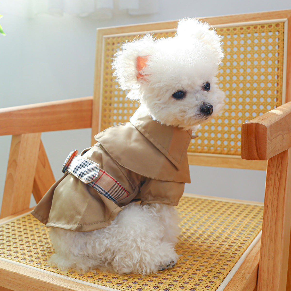 Pet Fashion Khaki Collection – Trench Coats & Elegant Couple Outfits