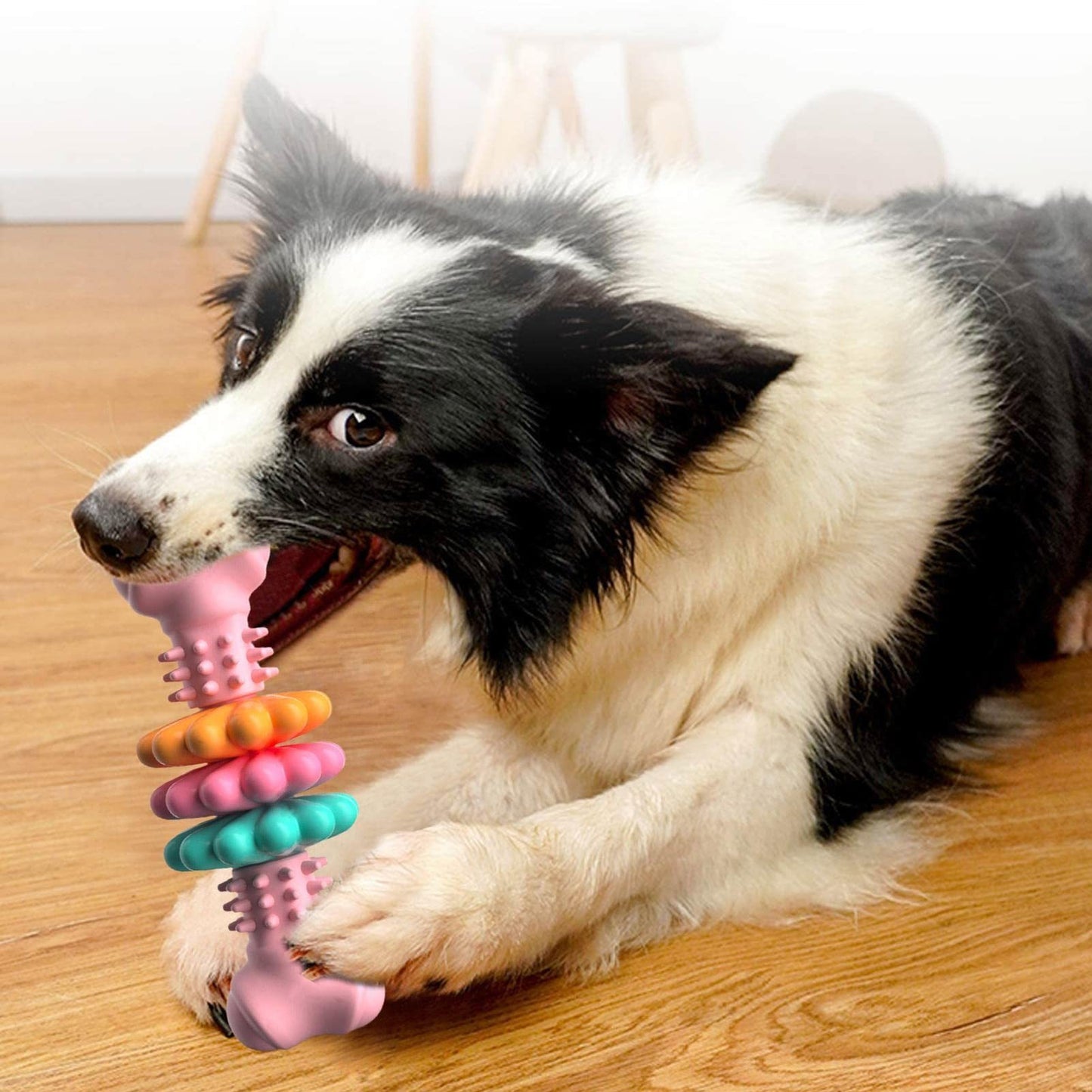 Dog Chew Bone Toy For Teeth Cleaning - Indestructible TPR Bone Chewing Bite Resistant Teething Toys