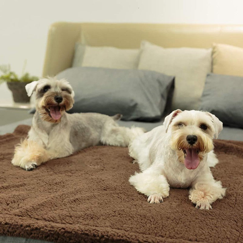 Plush Pet Blanket - Dog Mat Cat Mat Pet Air Conditioning Mat Pet Plush Mat