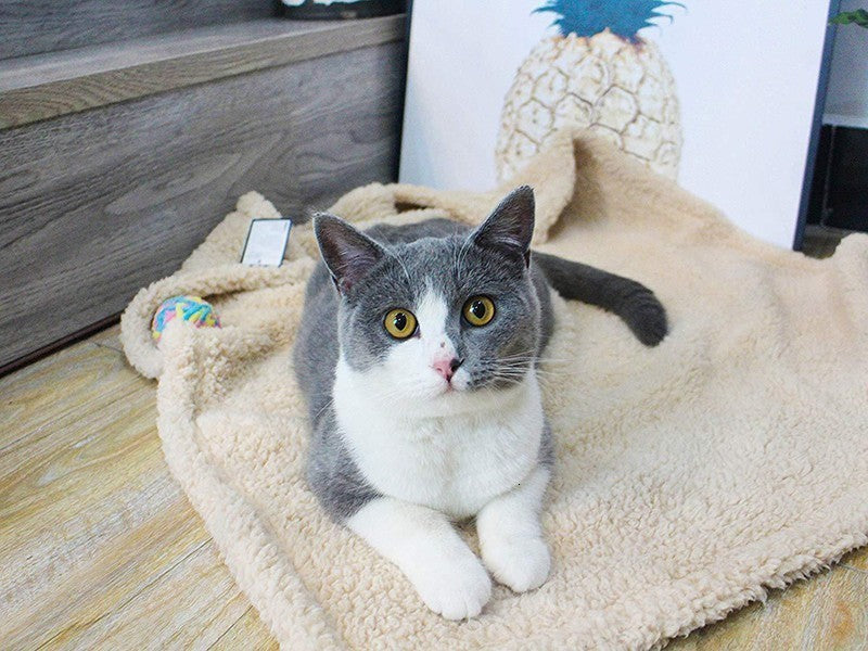 Plush Pet Blanket - Dog Mat Cat Mat Pet Air Conditioning Mat Pet Plush Mat