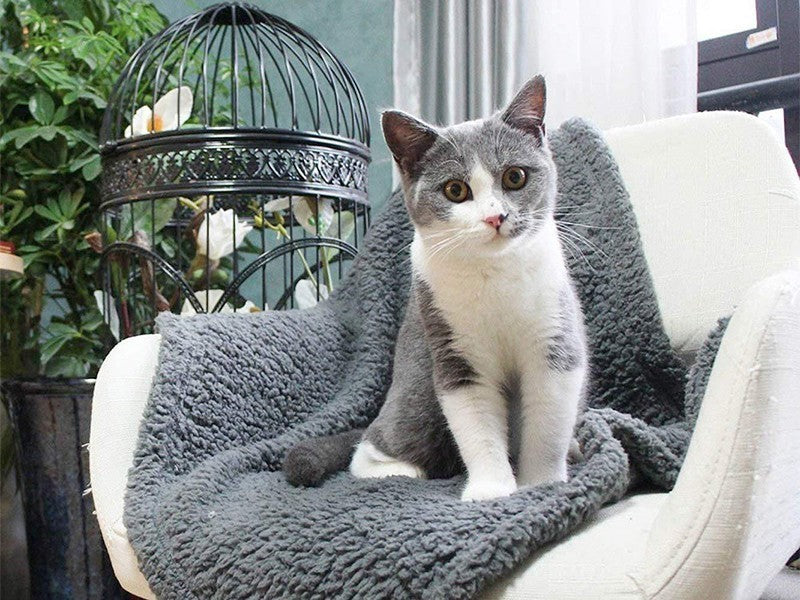 Plush Pet Blanket - Dog Mat Cat Mat Pet Air Conditioning Mat Pet Plush Mat