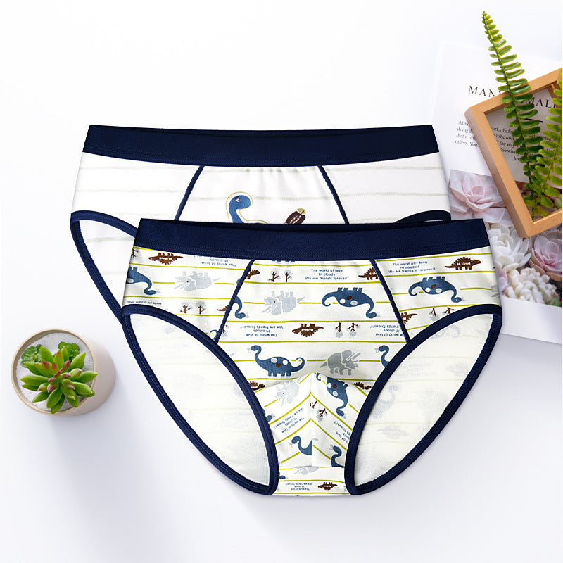Boy's Underwear Boxer - Cotton Children's Underwear