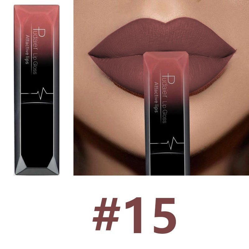 Matte Lip Gloss Lipstick Makeup