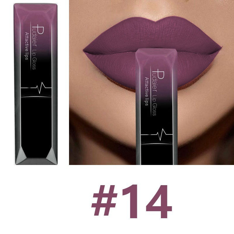 Matte Lip Gloss Lipstick Makeup
