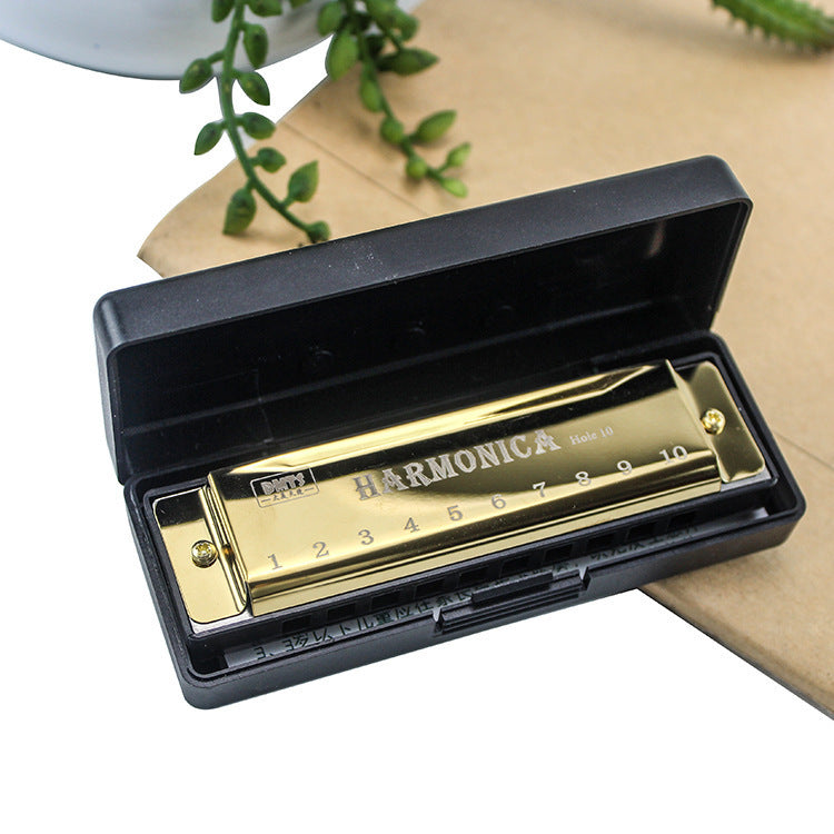 Musical Instrument Educational Toy - Primary School Children